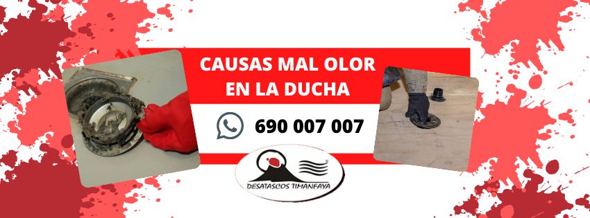 causad del mal olor en desagüe de ducha